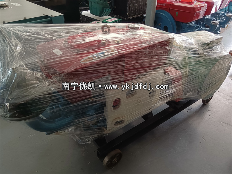 2023年6月10日，20kw單缸柴油發(fā)電機(jī)組發(fā)貨柳州
