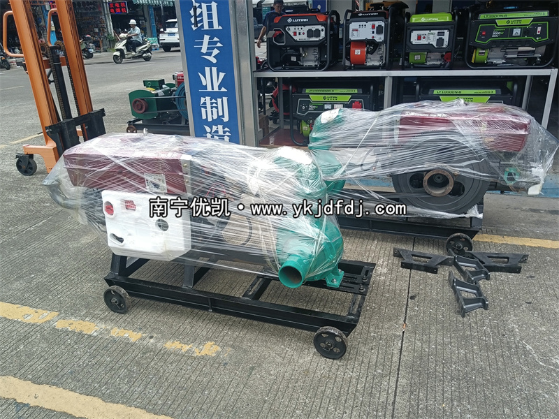 2024年7月30日，國外項目出口兩臺4寸柴油水泵機組及4臺清水泵